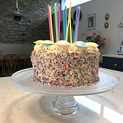 Party Cake on a plate.