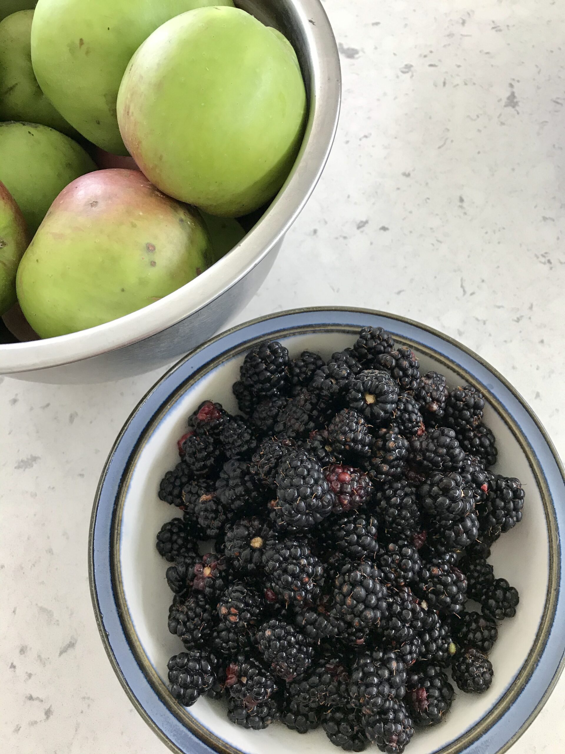 Blueberries and apples in separate bowls on a kitchen countertop.