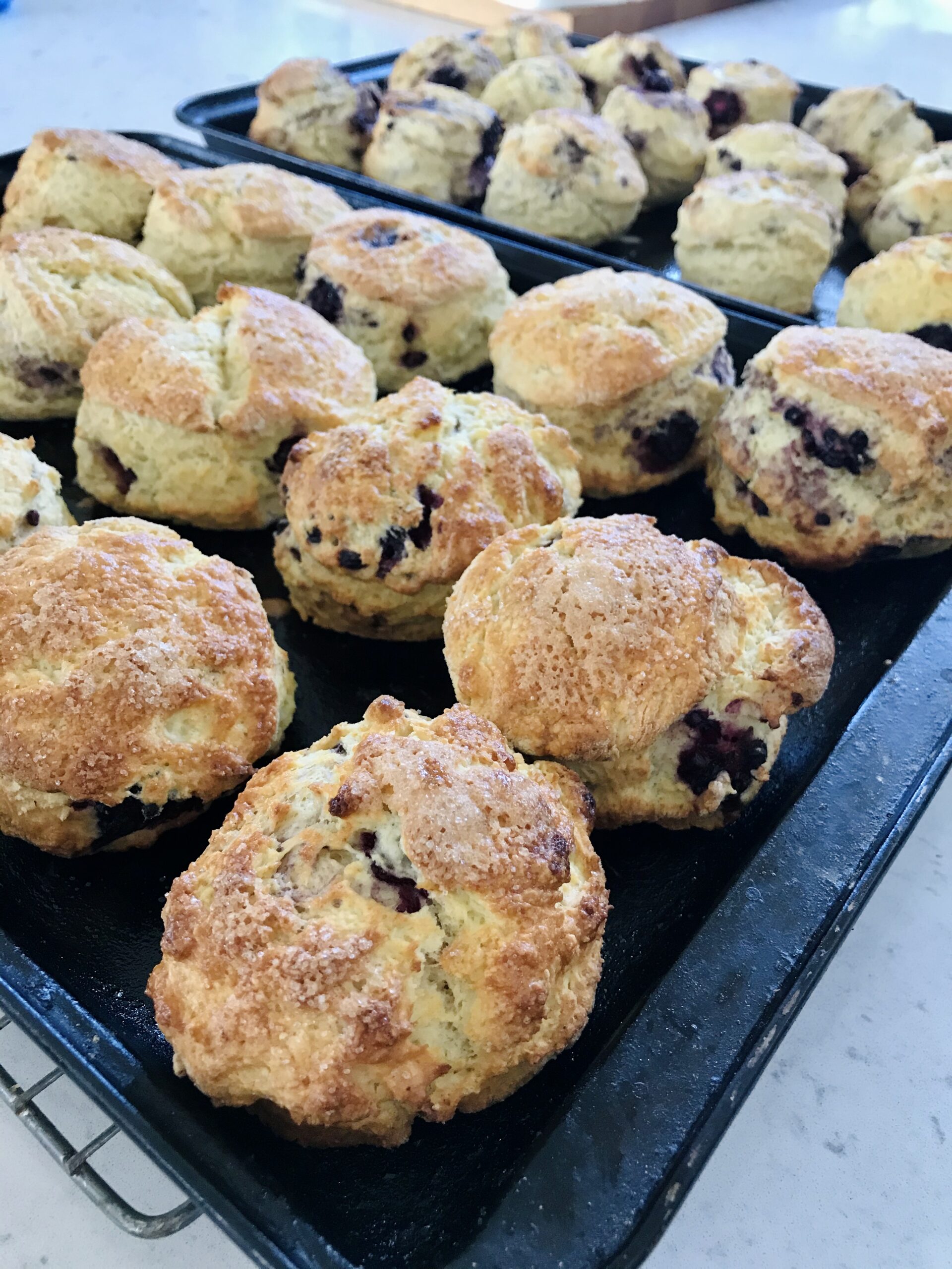 Blackberry and apple crumble on an oven plate.
