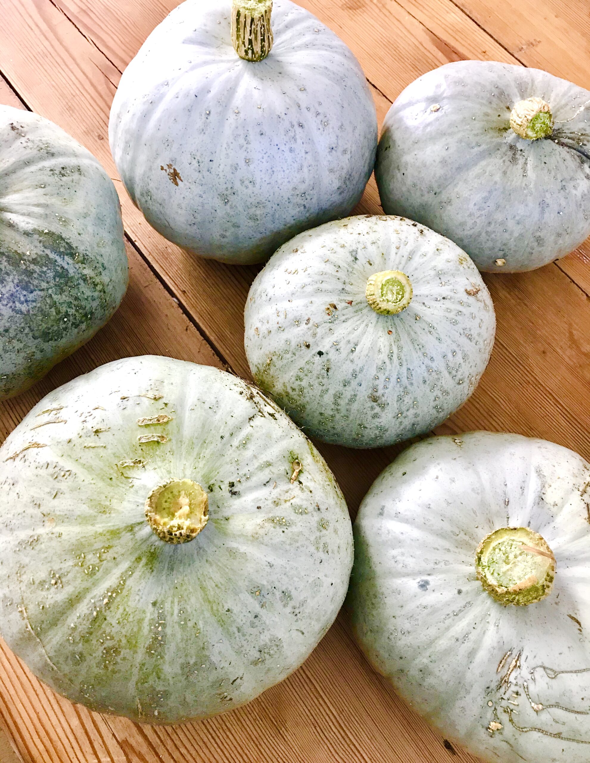 Six blue pumpkins on a wooden table.