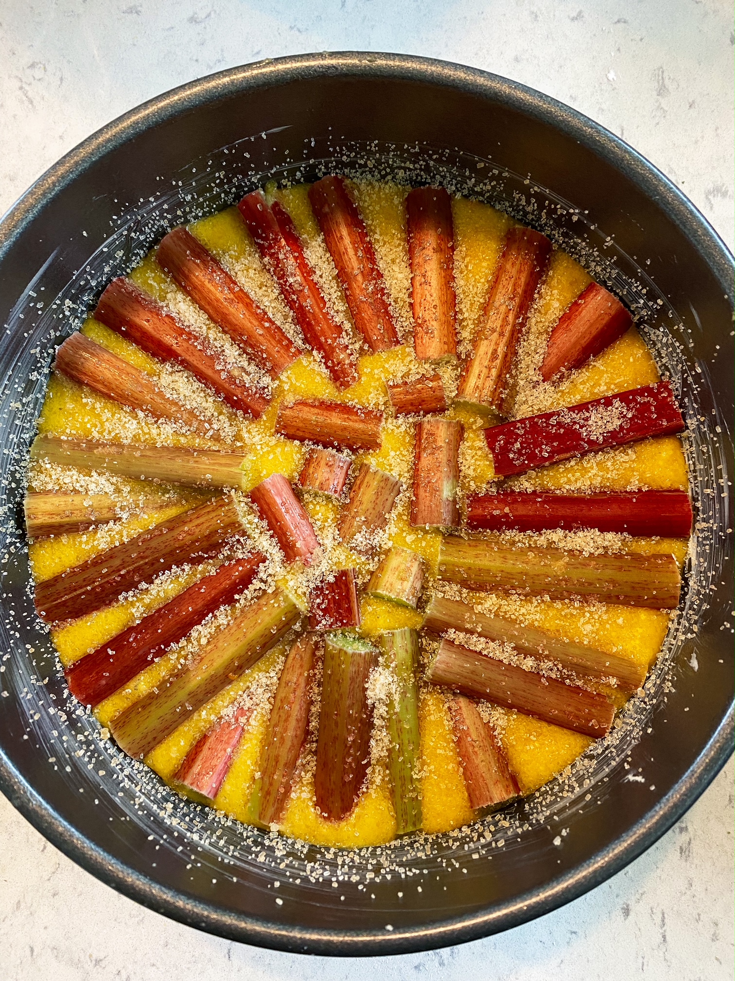 Rhubarb, Orange and Almond Cake in a cake tin.