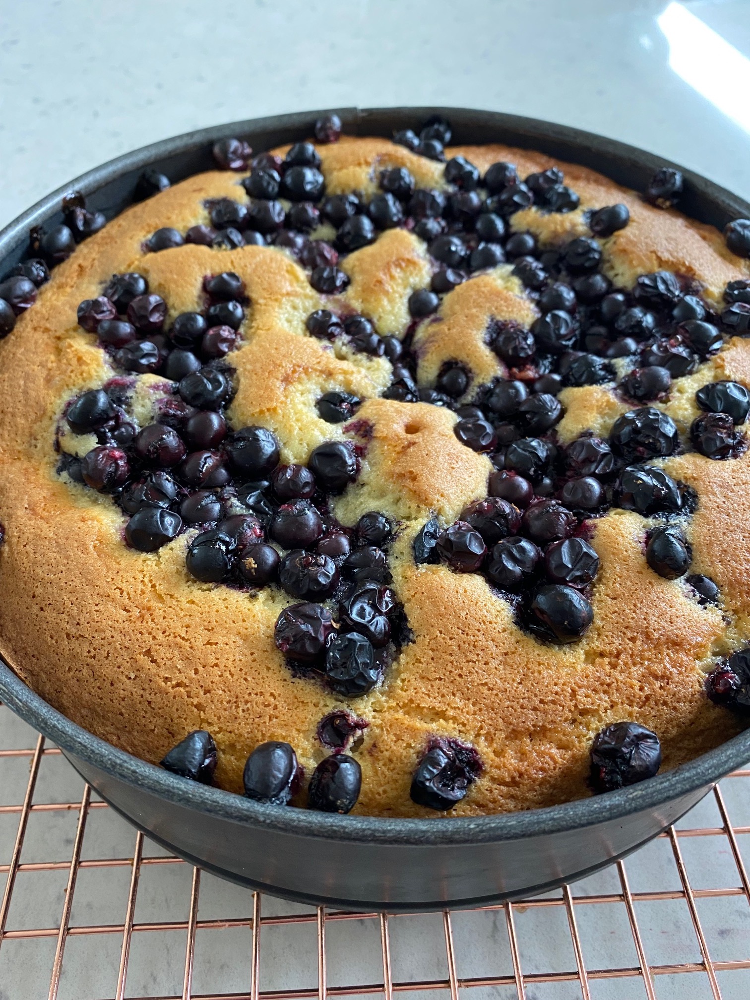 Grape and Olive Oil Cake slice in oven tin on a rack.