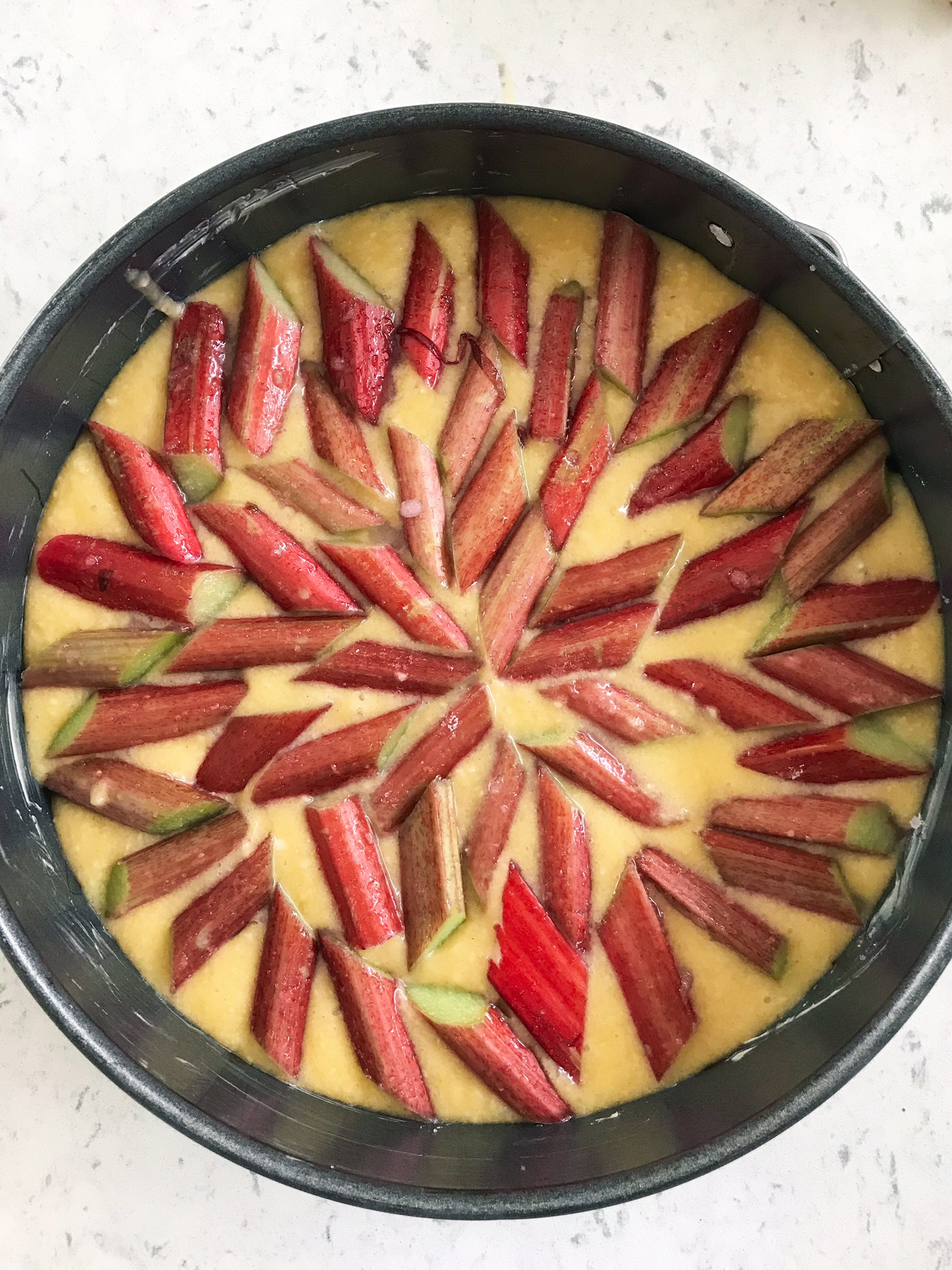 Rhubarb cake in progress in a cake pan.
