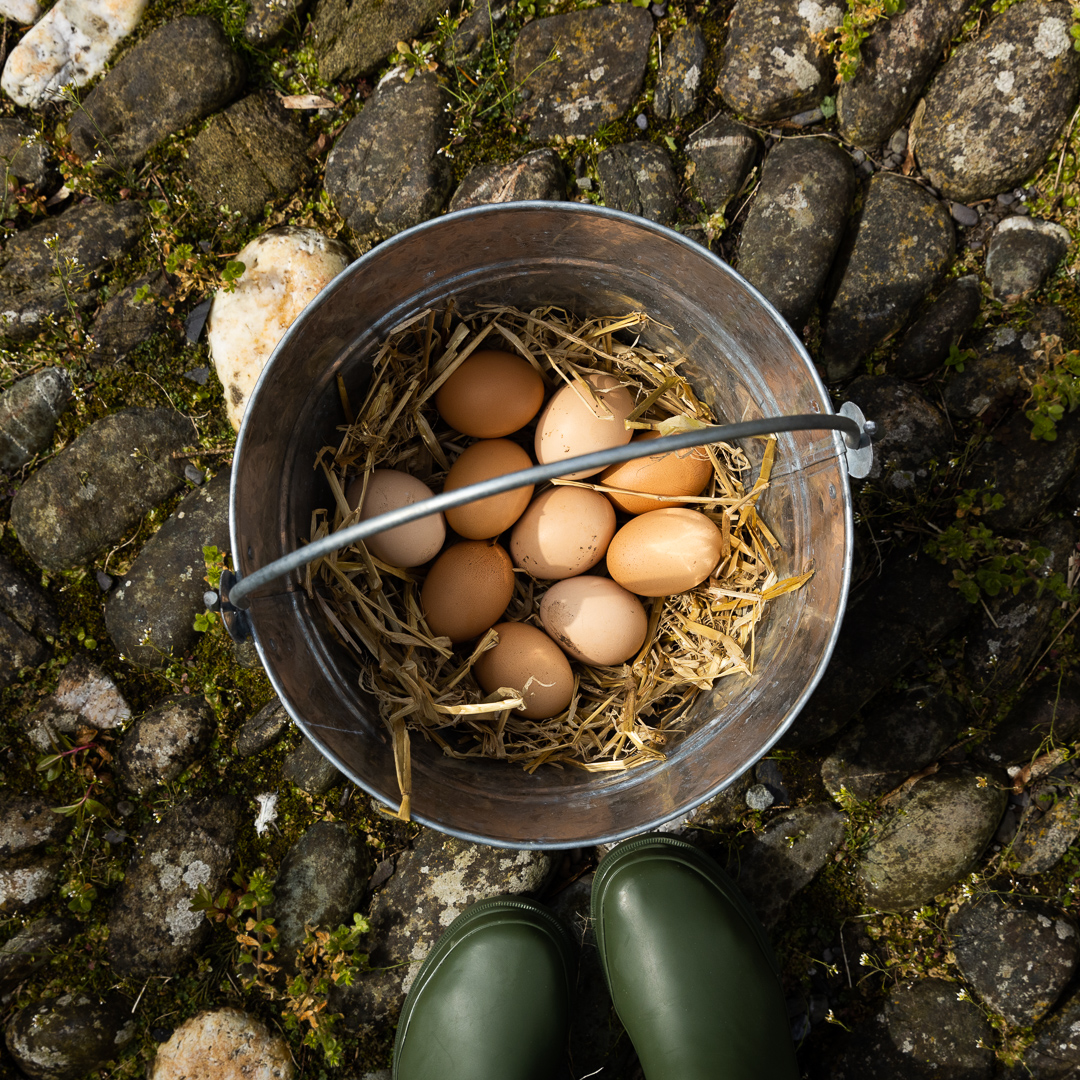 Eggs and hay in a basket on a rocky road.